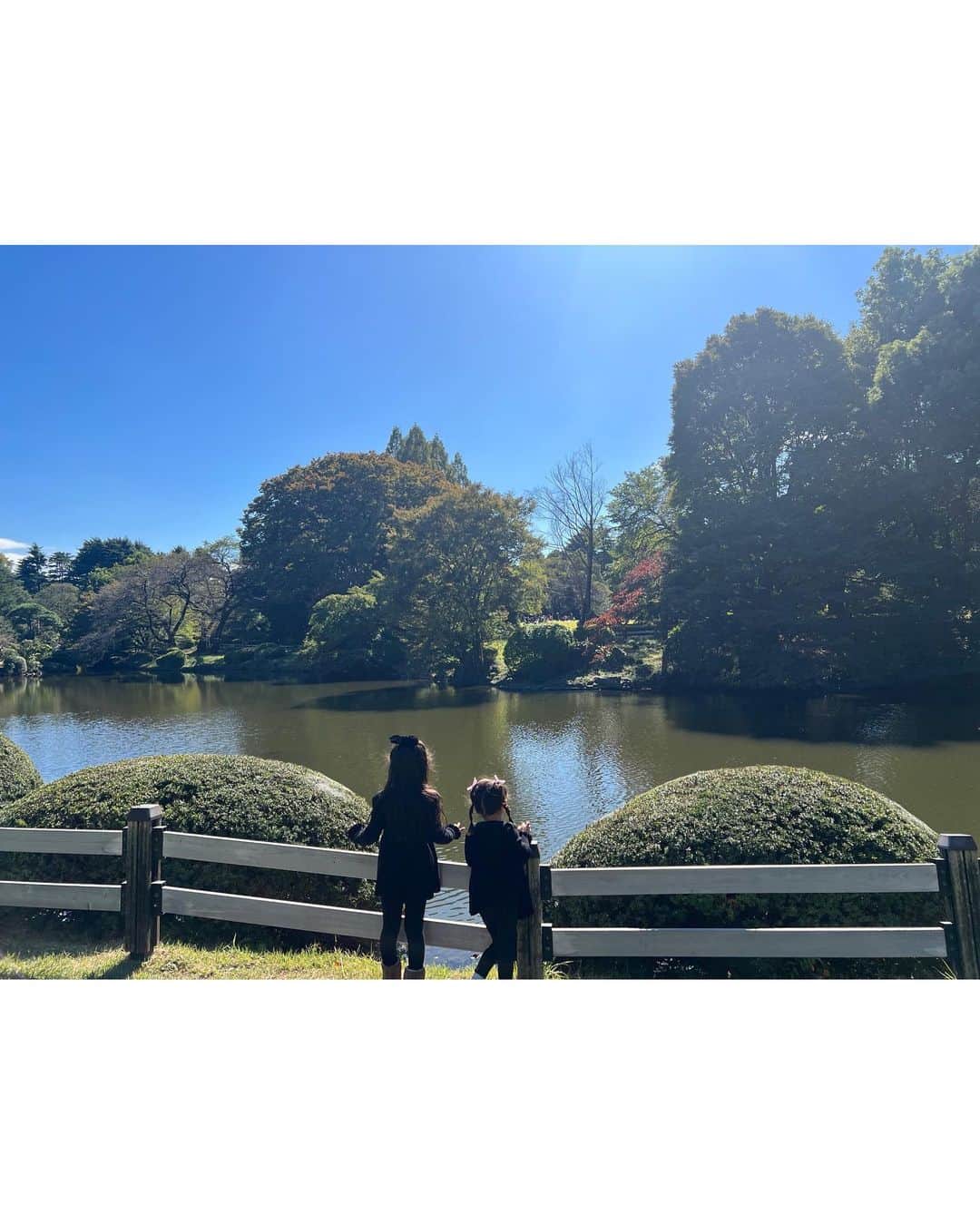近藤千尋のインスタグラム：「今日は、姉妹と秋を探しに🍂🍁🐿️ どんぐりたくさんあったね💕☺️ 次女が秋の遠足に行けなかったので 同じ場所に家族で行ってきました🌳✨ 朝から４時間滞在してへとへと😂 最高の日曜日でした〜☺️🤍 いつもお仕事でお留守番のパパも行けてよかった🫶  娘の服は @petitmain_official  と　@ajuga.shop コラボの ニットです💕 なんと洗濯機で洗えるよ〜🧺✨✨✨  私のはまだ届いてなかったので着れず…😭 早くリングコーデしたいなぁ😇」