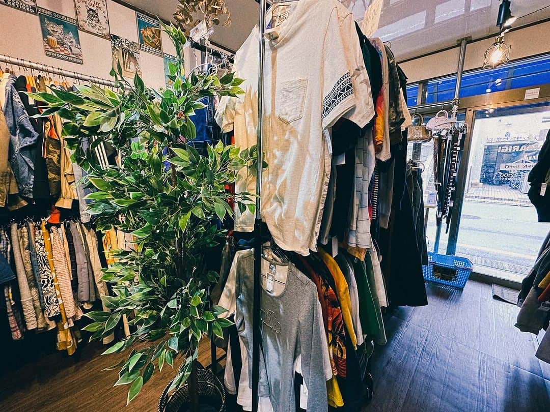 山崎桃子さんのインスタグラム写真 - (山崎桃子Instagram)「PR : @FURUGIYA_TOMARIGI 様に お邪魔して来ました🌿 神奈川ではレアな無人の古着屋さん！ ブランド物が沢山あり品数が多く激安。 服以外にも小物も沢山ありました！ 無料コーナーも出していたり ワクワクしちゃうようなお店でした！ 無人なので人目を気にせずゆっくり見れて お宝発見するぞ〜！っと張り切って STUSSYの可愛いピンクのロンTと NIKEのパンツをゲットしました！💕  皆んなも是非行ってみてね☝️ 鶴間駅から徒歩2、3分。 車でも付近にPA沢山あります！  神奈川県大和市西鶴間1丁目2-4  #無人ブランド古着屋tomarigi  #tomarigi  #鶴間古着屋  #神奈川古着屋」10月22日 16時28分 - momochan0910