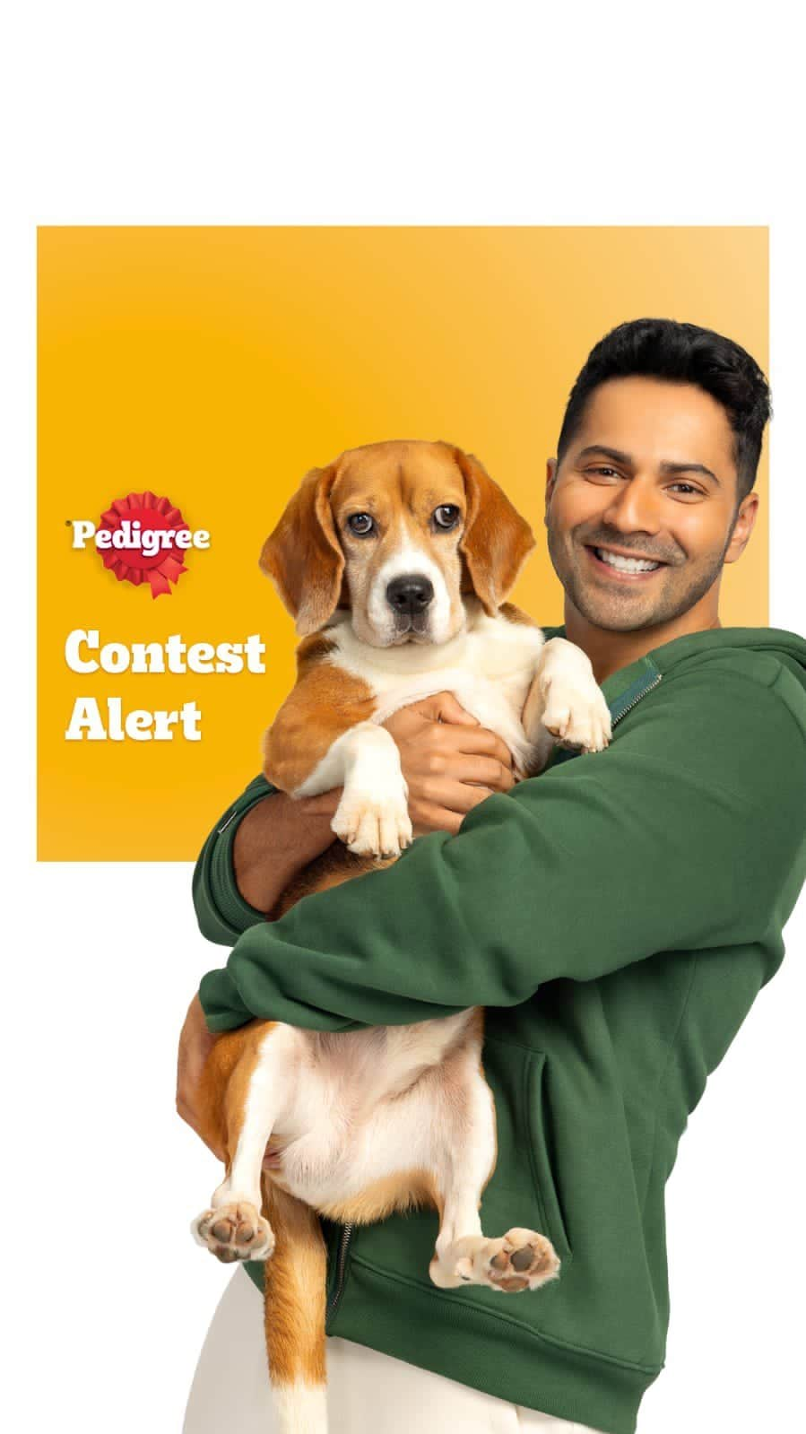 Varun Dhawanのインスタグラム：「Dha(wan) and only star in my life is joey 🐶   Make your dog a star, just like Joey, by entering the Pedigree contest! Take a photo or video of your dog catching the ball mid air and tag @pedigree_india to win 6 months of free Pedigree food!   *Contest valid till November 19th 2023  #ContestAlert #VarunBowledOverbyPedigree #PedigreeCompleteAndBalancedNutrition」