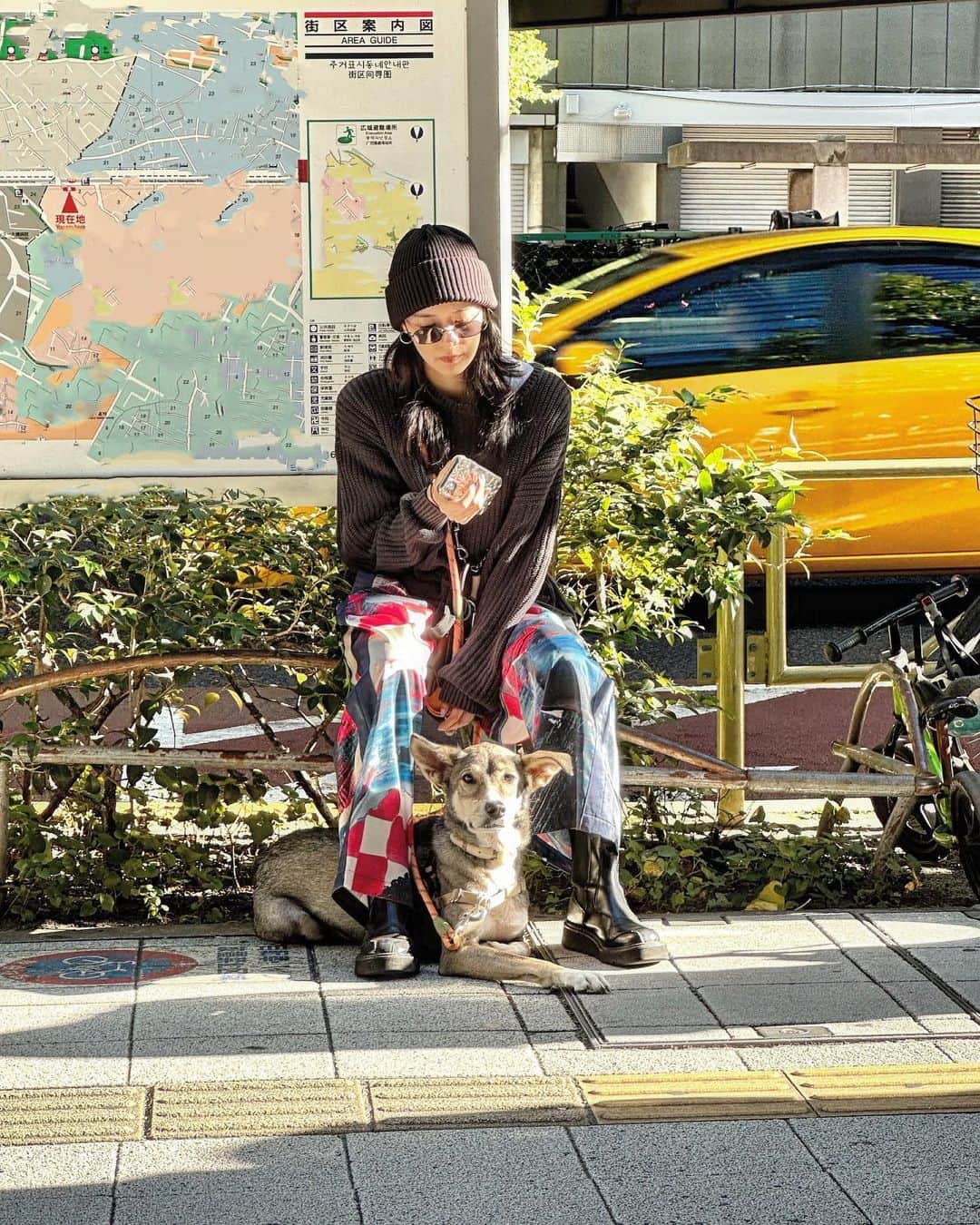 大社カリンのインスタグラム：「elle/em🐕　@em.em.official   散歩にも着たまま出れちゃうよ 大型犬の商品作りたいな  愛しき後頭部✵  商品の詳細はプロフィールのリンクから飛んで是非見てね🔗」