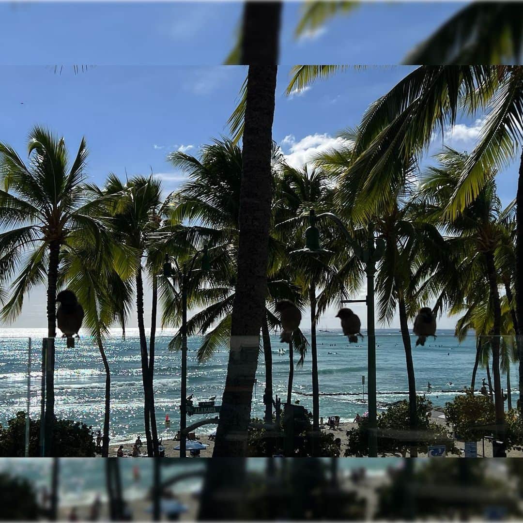 浅川悠のインスタグラム：「🌺Hawaii🎉」