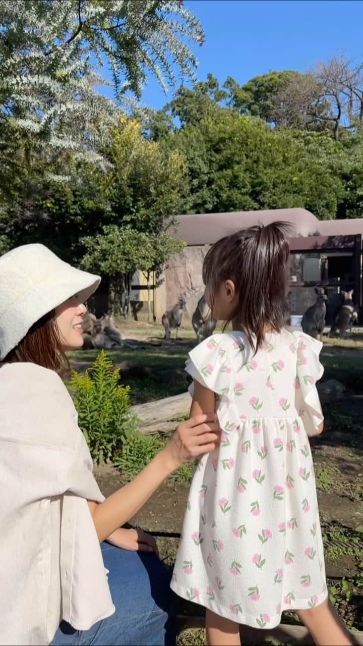 萩中ユウのインスタグラム：「カンガルーを見て、「わたしもママのお腹にまた入りたいな」という、もうじき5歳の娘🦘 このとき何を話しているのか忘れちゃったけど、彼女との会話はいつも愛に溢れていて優しい気持ちにさせてくれる。  #ボディータッチ多めの母」