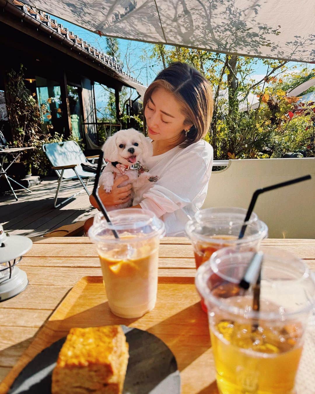 七菜香さんのインスタグラム写真 - (七菜香Instagram)「山梨𝐿𝒾𝒻𝑒✨  今年9歳になるけどまだまだ元気なcoco婆さん🐶💕 ラキもいたけど、娘に連れ回されて撮れず😢😢w  山梨に来てから一緒におでかけがたくさんできて 嬉しそうなココラキ✨  河口湖の方まで行かなくてもいい ペット同伴で行けるカフェもっと知りたいなあ☕️🤍  #cafe #coffeetime #familyfirst #momlife #doglover #dogstagram #maltese #yamanashijapan #山梨ライフ #山梨カフェ #iccikawaracoffeelabo #犬のいる暮らし #マルチーズ #女の子ママ #第二子妊娠中 #カフェタイム #☕️❤️」10月22日 17時52分 - nanaka0118