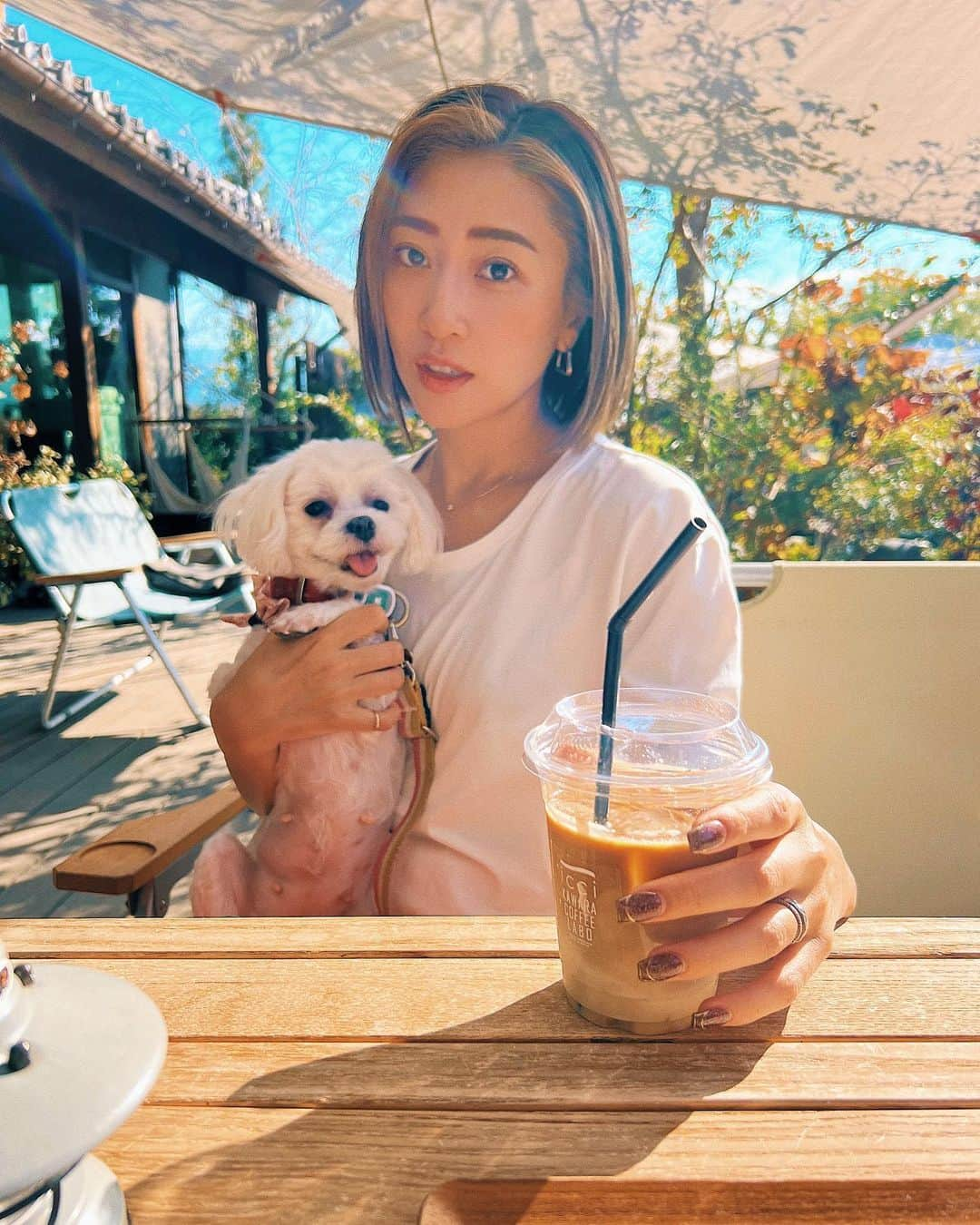 七菜香のインスタグラム：「山梨𝐿𝒾𝒻𝑒✨  今年9歳になるけどまだまだ元気なcoco婆さん🐶💕 ラキもいたけど、娘に連れ回されて撮れず😢😢w  山梨に来てから一緒におでかけがたくさんできて 嬉しそうなココラキ✨  河口湖の方まで行かなくてもいい ペット同伴で行けるカフェもっと知りたいなあ☕️🤍  #cafe #coffeetime #familyfirst #momlife #doglover #dogstagram #maltese #yamanashijapan #山梨ライフ #山梨カフェ #iccikawaracoffeelabo #犬のいる暮らし #マルチーズ #女の子ママ #第二子妊娠中 #カフェタイム #☕️❤️」