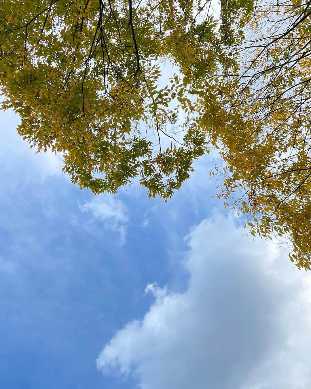 ミリョのインスタグラム：「🍂조금 추웠던 거 빼고 아주 nice🍁」