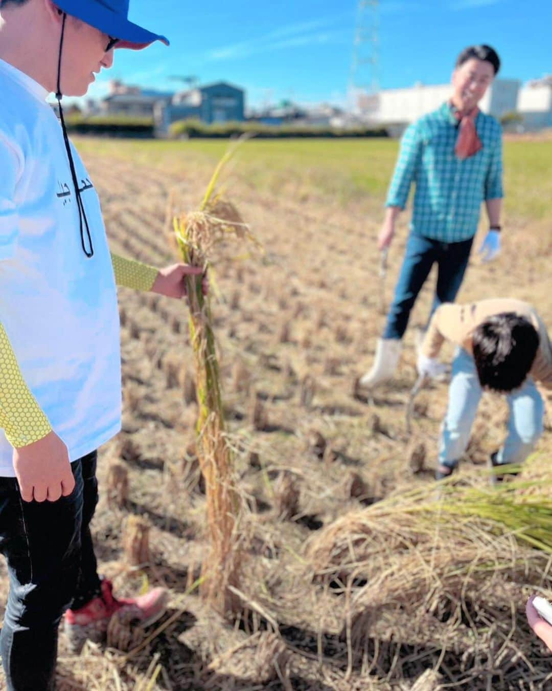 宮田麺児さんのインスタグラム写真 - (宮田麺児Instagram)「素敵な　稲刈りの写真　撮れました また　追って連絡します  #稲刈り #山田錦 #雄町 #ゲリラ炊飯 #米」10月22日 17時56分 - miyatamenji