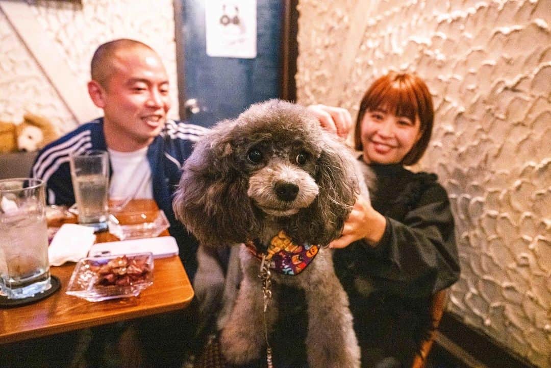 のインスタグラム：「ご縁があってキングオブコントをスナックで観るという経験をさせてもらってびっくり。三方向にモニターがあってどこからでも観れるお店だった。お店の方のワンちゃんもおとなしく観ていてすごい空間。後半忽那がテレビを観ながら泣き出して、どうしたのかと思ったらキングオブコント関係なくみんなでテレビを観ているのが嬉しかったらしい。キングオブコント2023面白すぎ！！サルゴリラさん本当たまらなかった。このあとハナコ秋山さんとのトークライブで少し話すかもしれない！早く話したい！」