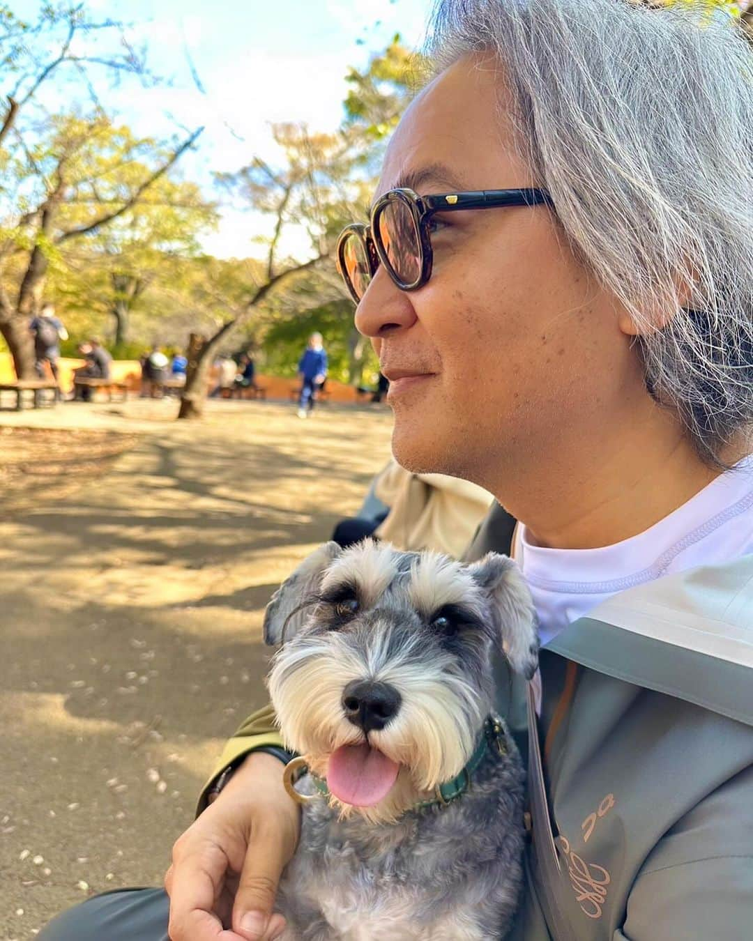 谷川じゅんじのインスタグラム：「Autumn park. 秋の気配と銀杏の香り。寒い季節ももうすぐそこ。満面スマイルご機嫌サンデー。歩いて食べて陽だまり撃沈。いい日曜日だなぁ、ねーソラちゃん。#mutsulannsora  #goodvibesonly #goodneighbors #thisisjapan」