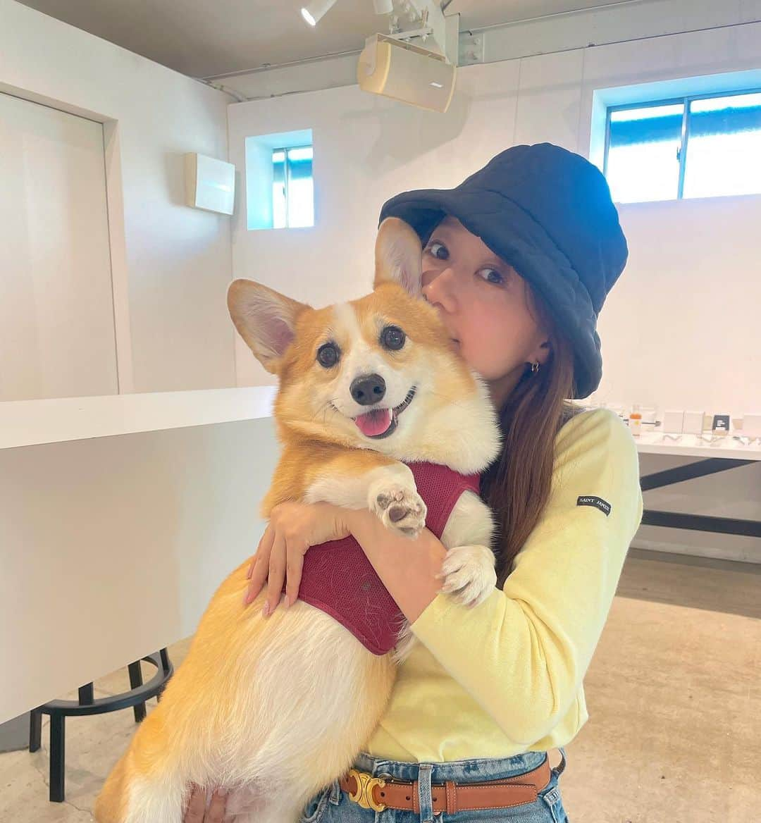 高田秋のインスタグラム：「ポテトとの休日🍟🐶🌼  菊花賞は…🤣🙇‍♀️🤣😂😂 とにかくドゥレッツァすごい！ おめでとうございます🫶  #菊花賞」