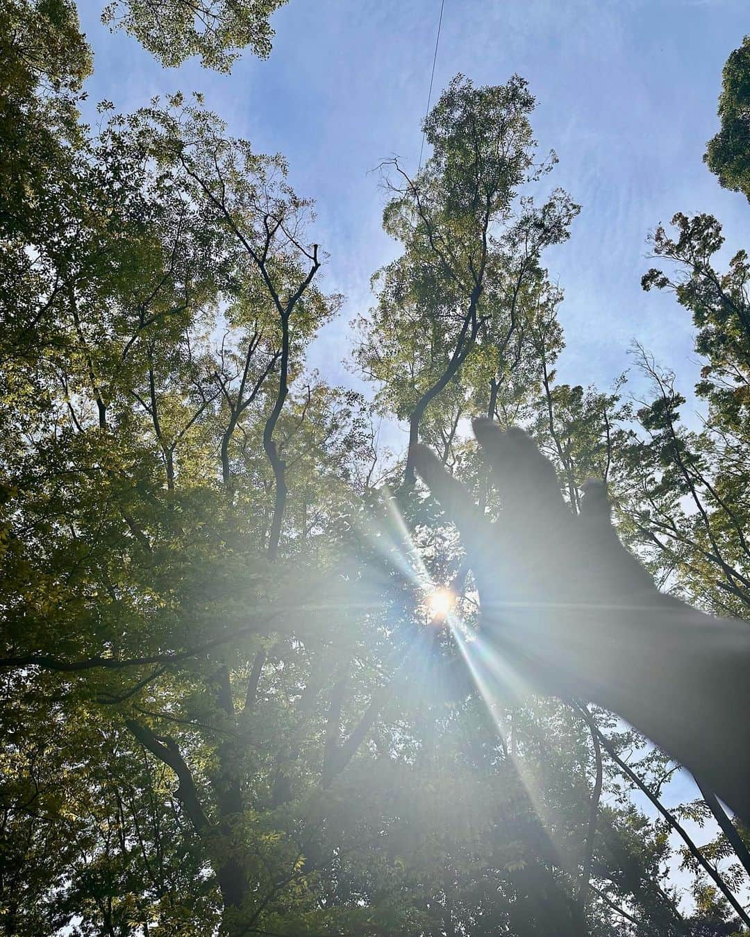 近藤頌利のインスタグラム：「#空 #神社 #散歩 🚶」