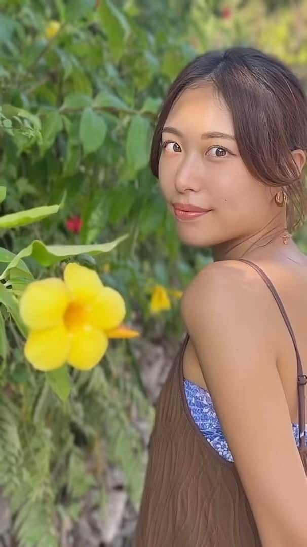 澤井玲未のインスタグラム：「夏を取り戻し🏝️ ハイビスカスは誕生花なの🌺(黄色のお花がハイビスカスかは分からん) . #ishigaki#taketomiisland#石垣島#竹富島#ハイビスカス」