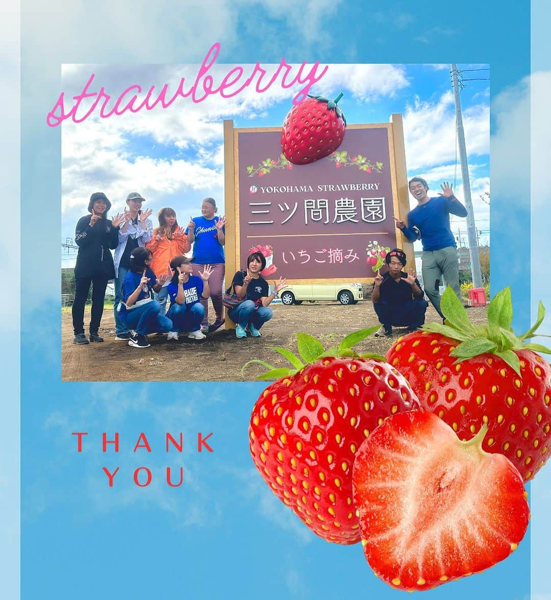 三ツ間卓也のインスタグラム：「🍓 10/20 お手伝い参加された皆さん🚧🤝  連日天気も良く☀️  複数回の方達ばかりで 凄い容量よく作業が進みました🥺  女性達の力は偉大でした🙆‍♂️  #三ツ間農園#横浜いちご#いちご狩り#白いちご#ピンクいちご#元プロ野球選手#中日ドラゴンズ#逃走中#代打三ツ間#딸기#草莓#fresa#少年野球#高校野球##大学野球#社会人野球」