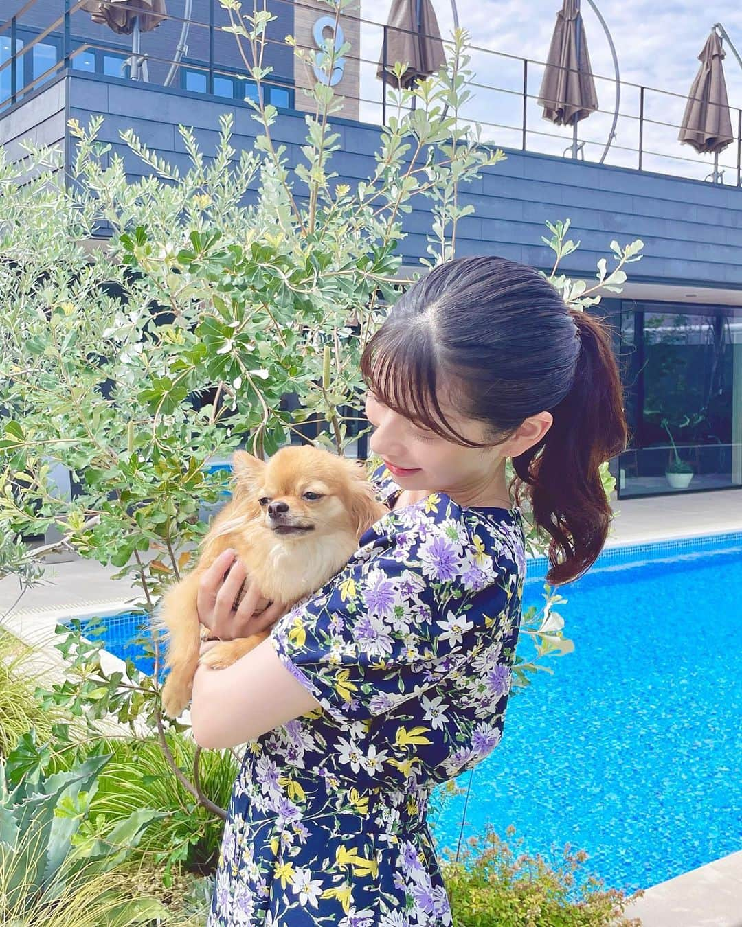 綾瀬麗奈さんのインスタグラム写真 - (綾瀬麗奈Instagram)「. インスタ上ではいつまでも半袖🤣🤍  うちのこ🐶とカフェした日。  テラス席だったのですが、 ちょうど日光が当たって結構暑かった、、🫨 お席の移動もできないと言われてしまったので ランチで伺う際はお気をつけください🥲、  暑さのせいかな…？ やる気のないお顔もかわいいヨ🐶✨  .  #ヒーリングフォレストカフェ　#healingforest #一宮カフェ　#一宮ランチ　#一宮グルメ　#チワワのいる暮らし　#わんことおでかけ　#わんちゃんのいる生活　#チワワロングコート　#わんことカフェ　#チワワ会　#チワワレッド　#レッドチワワ　#チワワ　#Chihuahua」10月22日 19時51分 - ayasereina