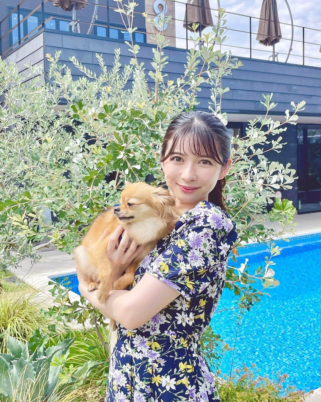 綾瀬麗奈のインスタグラム：「. インスタ上ではいつまでも半袖🤣🤍  うちのこ🐶とカフェした日。  テラス席だったのですが、 ちょうど日光が当たって結構暑かった、、🫨 お席の移動もできないと言われてしまったので ランチで伺う際はお気をつけください🥲、  暑さのせいかな…？ やる気のないお顔もかわいいヨ🐶✨  .  #ヒーリングフォレストカフェ　#healingforest #一宮カフェ　#一宮ランチ　#一宮グルメ　#チワワのいる暮らし　#わんことおでかけ　#わんちゃんのいる生活　#チワワロングコート　#わんことカフェ　#チワワ会　#チワワレッド　#レッドチワワ　#チワワ　#Chihuahua」