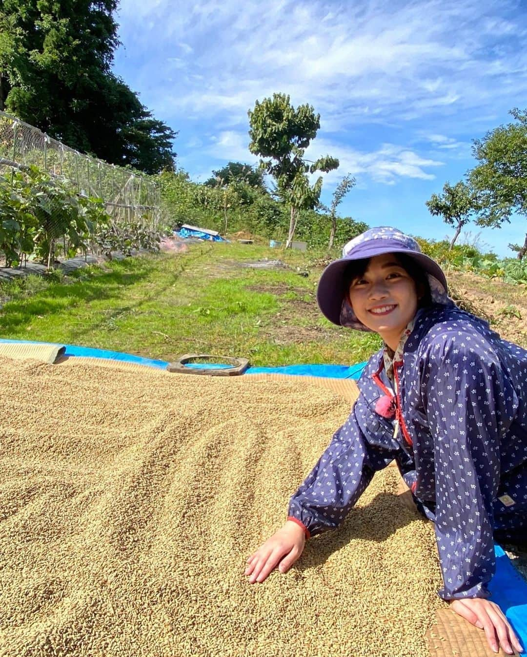 松本亜美さんのインスタグラム写真 - (松本亜美Instagram)「明日の新潟一番は… 自然派　田んぼにコイして🌾 脱穀作業を自然派田んぼ応援隊の皆さんと共に頑張りました！！！  脱穀→ワラをまとめる→モミを運ぶ この3工程をひたすら繰り返しました。  次から次へと脱穀されていくので、ワラをまとめる作業はスピーディーに終わらせなければなりません。 さらにモミの大袋がどれくらい溜まったかどうかを確認しながら進めていくので、頭も体もフル回転で行いました！  流れを掴むとひたすら向き合うのみ！！ 周りが驚くほどに集中していたようです😂  見事な稲の壁が少しずつなくなり、青空が見えてくると作業が進んでいることを実感しました✨  田んぼにコイしても終盤になってきました👀 皆さんの頑張りをぜひ！明日ご覧ください🍚  #teny #テレビ新潟  #夕方ワイド新潟一番  #自然派 #田んぼにコイして  #農業女子 #自然派田んぼ #あみ田んぼ  #農作業 #脱穀  #ひたすら作業に没頭  #翌日は筋肉痛 #特技 #わら結び  #アナウンサー  #松本亜美」10月22日 20時03分 - ami_matsumoto_teny