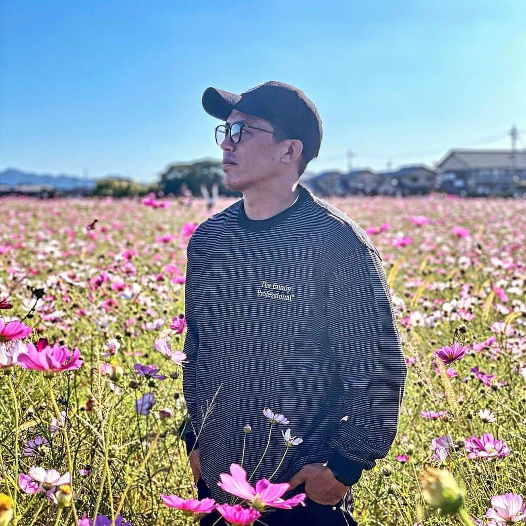 野村忠宏のインスタグラム：「こんな休日も😉🌸 #藤原宮跡 #コスモス #休日 #野村忠宏 #奈良県」