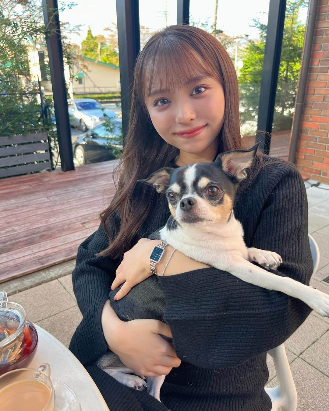 勝又彩央里のインスタグラム：「世界一かわいいノエルくんお誕生日おめでとう🐶 サイズ感可愛すぎる🤍  時計とブレスレットは(@danielwellington )  【SAORI2310】 ↑このクーポンコードで15％オフになります🎫 使用期限は2023年12月31日までです！  #ダニエルウェリントン #dw12周年 #dwturns12 #fw2023 #yesdw #watch #時計 #腕時計 #休日 #カフェ #愛犬 #愛犬との暮らし #チワワ #犬 #かわいい #愛犬家 #思い出 #dog #love #ootd #ワンピース #ニット #誕生日」