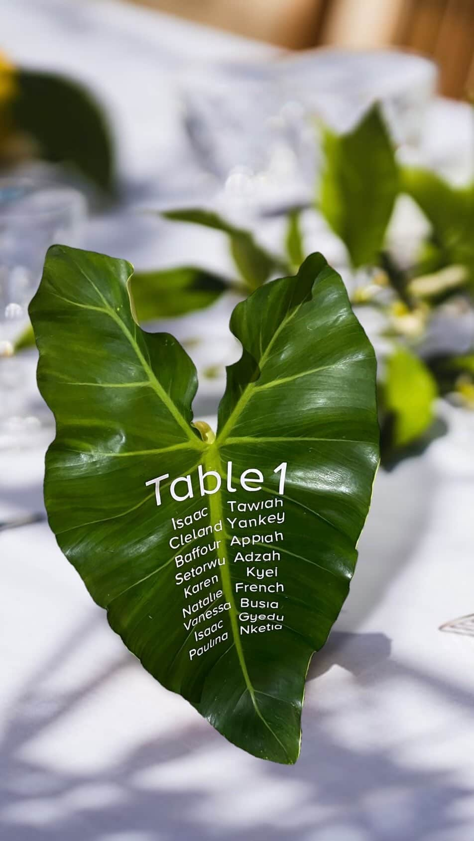 Ŝ Ŋ Ą Ƥ☻Ƥ Ą Ŋ Ĕ Ĺ?Ğ Ƕ SMMのインスタグラム：「Tropical leaf sign🌿 Nature's Elegance Meets Personalized Charm 🌿✨  a leafy masterpiece for wedding table numbers, featuring the stunning Philodendron Rugosum leaf adorned with vinyl-cut names.  A touch of greenery and a sprinkle of love Perfect for your #traditionalwedding ,#destinationwedding , #leafwedding , #Resortwedding  . . #envelopeghana #invitationghana #makingsmileyfaces #weddinginvitationghana #weddingstationeryghana . #weddingsignghana」