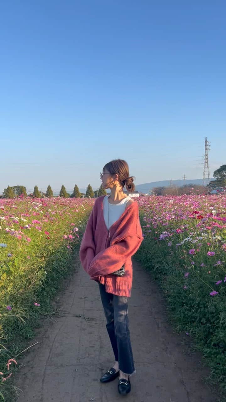 のインスタグラム：「毎年行ってるコスモス園に今年も。 コスモスカラー🫰🏻🩷　　 @freaksstore_official のカーディガン可愛い〜  #freaksstore #フリークスストア #ニットカーデ #シャギーニット #uniqlo  #zara」