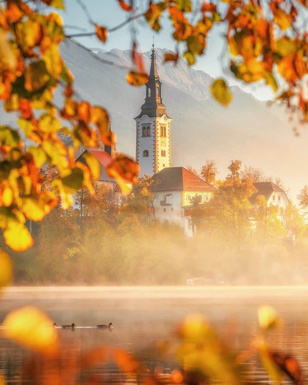 9GAGさんのインスタグラム写真 - (9GAGInstagram)「The perfect place to visit this season 🍂 Follow @voyaged to travel virtually around the 🌍✈️ - 📷 @krenn_imre - #voyaged #9gag #travel #slovenia」10月22日 20時30分 - 9gag