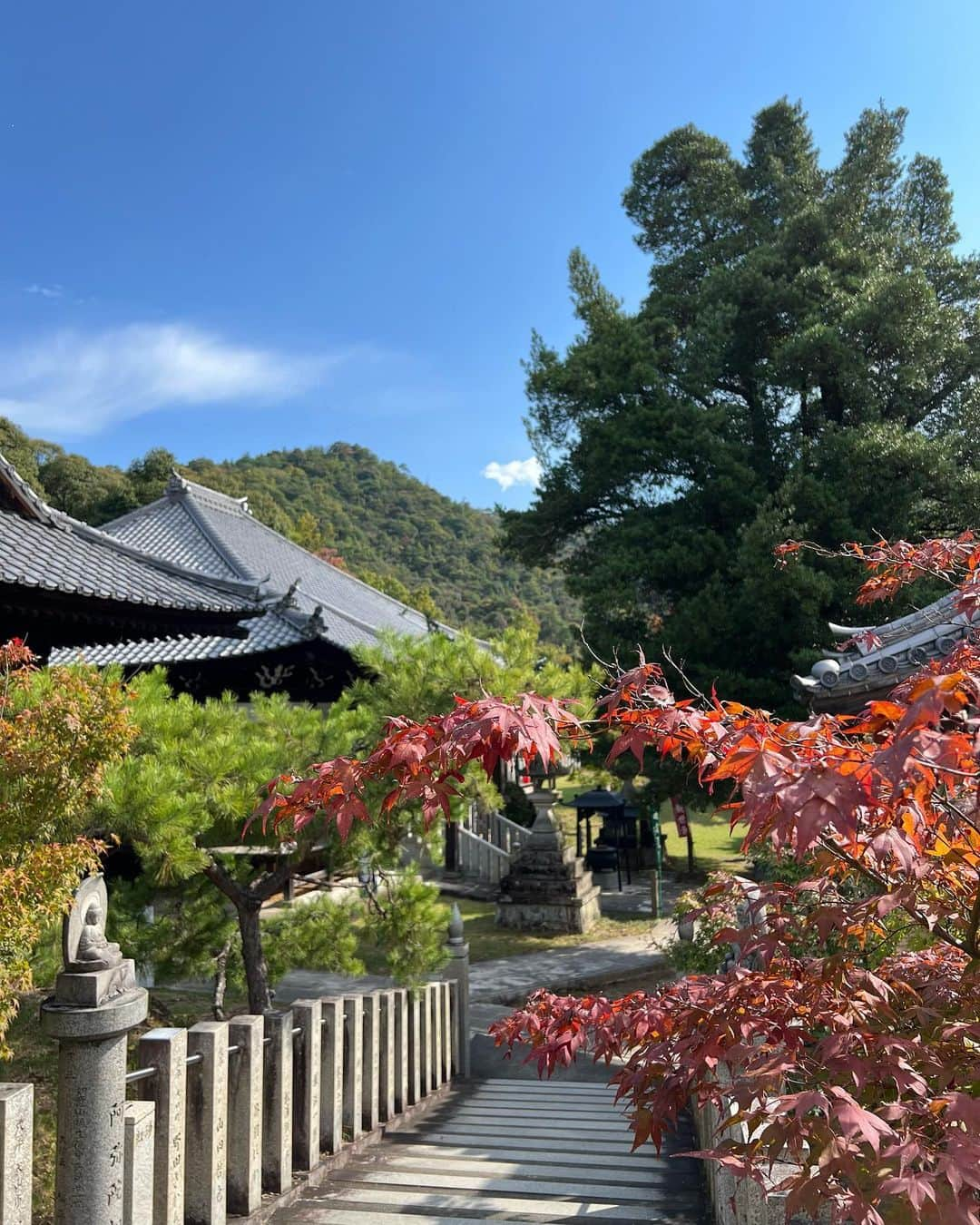 沢井里奈さんのインスタグラム写真 - (沢井里奈Instagram)「⠀ ⠀ 犬山の寂光院🌿‬✨ 緑がいっぱいで癒されました🥹💕💕  本堂までスロープカーで行けて 展望台から見る景色は絶景でした🥰  "尾張のもみじ寺"とも言われていて 紅葉で有名な場所🍁✨ 見頃になったらまた行きたいな。 ⠀ ⠀ そして先日 @crysta_nagoya さんへ💆🏻‍♀️💎 久しぶりだったので しっかりほぐしていただいて とてもスッキリ☺️💓💓 陽子さんとお話していると あっという間の時間🌹✨ いつもありがとうございます💐🤍 ⠀ ⠀ #犬山寂光院 #寂光院 #犬山 #クリスタ名古屋」10月22日 20時35分 - sawairina