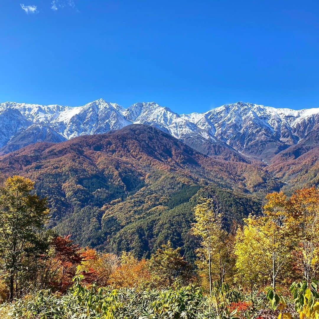 白馬岩岳スノーフィールドさんのインスタグラム写真 - (白馬岩岳スノーフィールドInstagram)「【三段紅葉】 昨日の寒気による北アルプスの上部の冠雪で、見事な三段紅葉が現れました。 雲一つない晴天に、この山岳景観。圧巻の景色に言葉はいりません。 来週のお天気も良さそうです。この時期しか見られない景色、皆様のお越しをお待ちしております。  #白馬岩岳マウンテンリゾート #白馬マウンテンハーバー #シティベーカリー白馬 #白馬ヒトトキノモリ #白馬ヤッホースイング  #長野県 #白馬村 #白馬 #白馬岩岳  #絶景 #絶景テラス #絶景ブランコ #北アルプス #白馬三山 #紅葉シーズン #お出かけスポット #三段紅葉 #ベストシーズン #長野旅行 #秋の風景 #秋旅 #ここでしか見られない景色  #nagano #hakuba #hakubavalley #hakubaiwatake #iwatake #autumncolors #hakubaiwatakemountainresort」10月22日 20時51分 - hakuba_iwatake