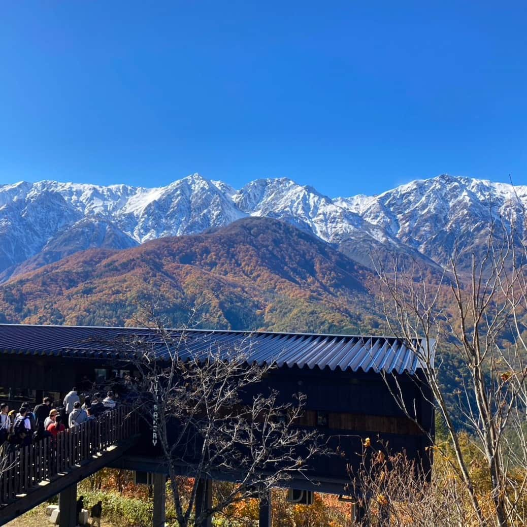 白馬岩岳スノーフィールドさんのインスタグラム写真 - (白馬岩岳スノーフィールドInstagram)「【三段紅葉】 昨日の寒気による北アルプスの上部の冠雪で、見事な三段紅葉が現れました。 雲一つない晴天に、この山岳景観。圧巻の景色に言葉はいりません。 来週のお天気も良さそうです。この時期しか見られない景色、皆様のお越しをお待ちしております。  #白馬岩岳マウンテンリゾート #白馬マウンテンハーバー #シティベーカリー白馬 #白馬ヒトトキノモリ #白馬ヤッホースイング  #長野県 #白馬村 #白馬 #白馬岩岳  #絶景 #絶景テラス #絶景ブランコ #北アルプス #白馬三山 #紅葉シーズン #お出かけスポット #三段紅葉 #ベストシーズン #長野旅行 #秋の風景 #秋旅 #ここでしか見られない景色  #nagano #hakuba #hakubavalley #hakubaiwatake #iwatake #autumncolors #hakubaiwatakemountainresort」10月22日 20時51分 - hakuba_iwatake