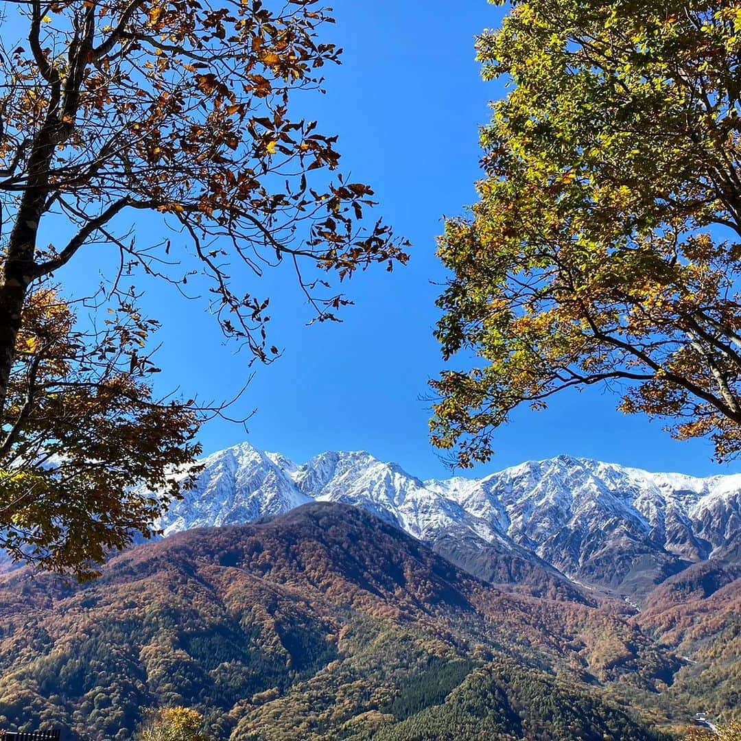 白馬岩岳スノーフィールドさんのインスタグラム写真 - (白馬岩岳スノーフィールドInstagram)「【三段紅葉】 昨日の寒気による北アルプスの上部の冠雪で、見事な三段紅葉が現れました。 雲一つない晴天に、この山岳景観。圧巻の景色に言葉はいりません。 来週のお天気も良さそうです。この時期しか見られない景色、皆様のお越しをお待ちしております。  #白馬岩岳マウンテンリゾート #白馬マウンテンハーバー #シティベーカリー白馬 #白馬ヒトトキノモリ #白馬ヤッホースイング  #長野県 #白馬村 #白馬 #白馬岩岳  #絶景 #絶景テラス #絶景ブランコ #北アルプス #白馬三山 #紅葉シーズン #お出かけスポット #三段紅葉 #ベストシーズン #長野旅行 #秋の風景 #秋旅 #ここでしか見られない景色  #nagano #hakuba #hakubavalley #hakubaiwatake #iwatake #autumncolors #hakubaiwatakemountainresort」10月22日 20時51分 - hakuba_iwatake