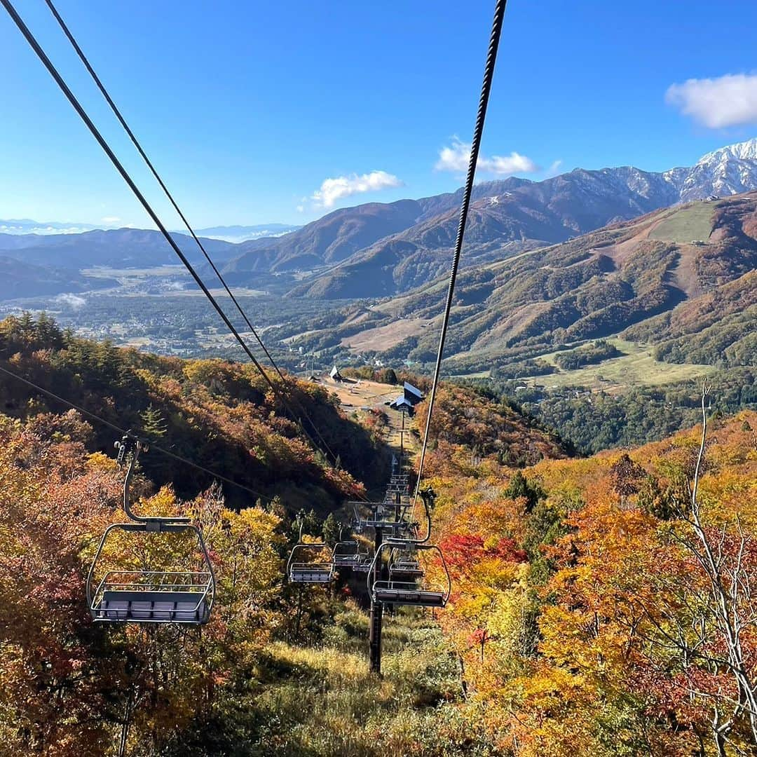 白馬岩岳スノーフィールドさんのインスタグラム写真 - (白馬岩岳スノーフィールドInstagram)「【三段紅葉】 昨日の寒気による北アルプスの上部の冠雪で、見事な三段紅葉が現れました。 雲一つない晴天に、この山岳景観。圧巻の景色に言葉はいりません。 来週のお天気も良さそうです。この時期しか見られない景色、皆様のお越しをお待ちしております。  #白馬岩岳マウンテンリゾート #白馬マウンテンハーバー #シティベーカリー白馬 #白馬ヒトトキノモリ #白馬ヤッホースイング  #長野県 #白馬村 #白馬 #白馬岩岳  #絶景 #絶景テラス #絶景ブランコ #北アルプス #白馬三山 #紅葉シーズン #お出かけスポット #三段紅葉 #ベストシーズン #長野旅行 #秋の風景 #秋旅 #ここでしか見られない景色  #nagano #hakuba #hakubavalley #hakubaiwatake #iwatake #autumncolors #hakubaiwatakemountainresort」10月22日 20時51分 - hakuba_iwatake