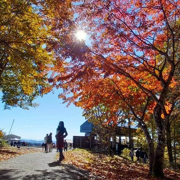 白馬岩岳スノーフィールドさんのインスタグラム写真 - (白馬岩岳スノーフィールドInstagram)「【三段紅葉】 昨日の寒気による北アルプスの上部の冠雪で、見事な三段紅葉が現れました。 雲一つない晴天に、この山岳景観。圧巻の景色に言葉はいりません。 来週のお天気も良さそうです。この時期しか見られない景色、皆様のお越しをお待ちしております。  #白馬岩岳マウンテンリゾート #白馬マウンテンハーバー #シティベーカリー白馬 #白馬ヒトトキノモリ #白馬ヤッホースイング  #長野県 #白馬村 #白馬 #白馬岩岳  #絶景 #絶景テラス #絶景ブランコ #北アルプス #白馬三山 #紅葉シーズン #お出かけスポット #三段紅葉 #ベストシーズン #長野旅行 #秋の風景 #秋旅 #ここでしか見られない景色  #nagano #hakuba #hakubavalley #hakubaiwatake #iwatake #autumncolors #hakubaiwatakemountainresort」10月22日 20時51分 - hakuba_iwatake