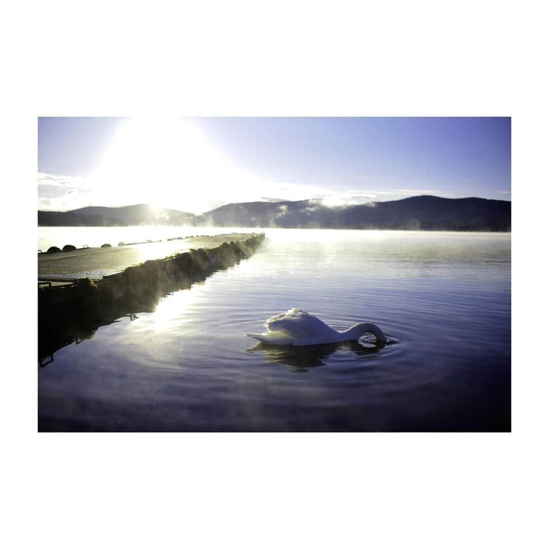 UZさんのインスタグラム写真 - (UZInstagram)「Good morning😆  先日は初山中湖へ！ いい季節🦢  #山中湖 #富士山」10月23日 6時35分 - uzspyair