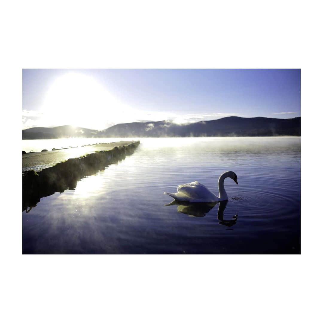 UZのインスタグラム：「Good morning😆  先日は初山中湖へ！ いい季節🦢  #山中湖 #富士山」