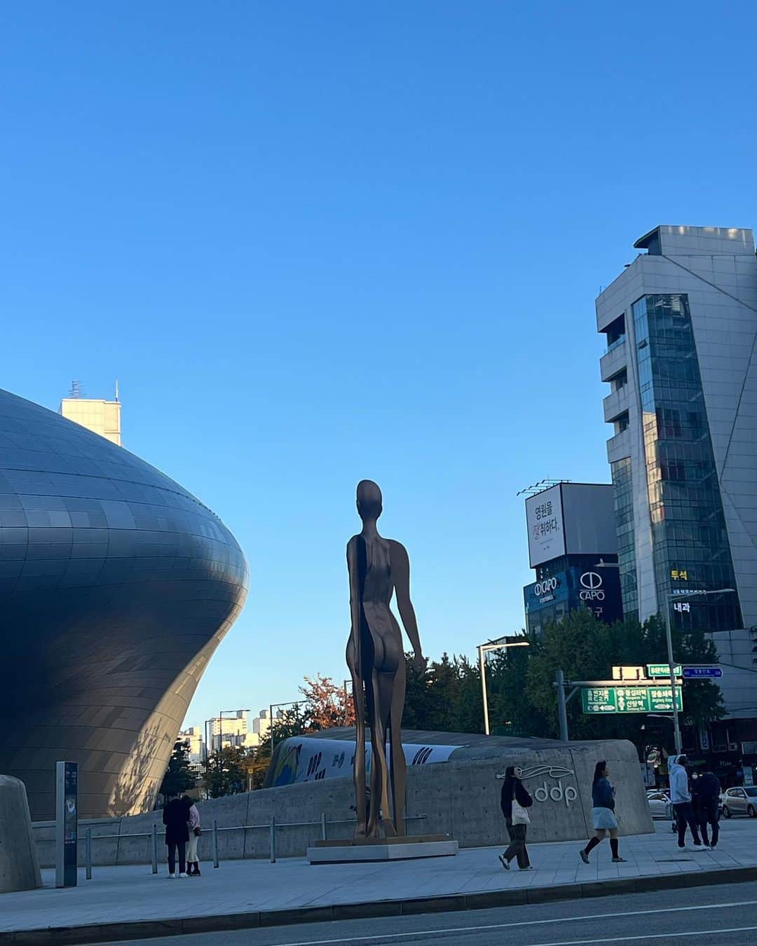 藤木貴子のインスタグラム：「韓国は何回も一緒に 行ってるけど いつも行動範囲が狭い😂💦  美味しいとこみつけたら ずーっと そこに通い詰める癖🤣💦  今回は Googleマップ使えない2人😵‍💫 東大門の有名な タッカンマリ横丁まで ぐるぐる 歩いて💦 階段登ったり 降りたり😂 翻訳アプリ使ったり 韓国の会社のエージェントの方に 何度も電話したり😂 結局徒歩　5分…  のとこ30分以上歩き回り💦  歩きながら  道を聞いた方6人ほど😂  そんなやっとの思いで たどり着いた〜  タッカンマリ❤️❤️❤️🥳  クタクタで 格別🤣❤️❤️❤️❤️  いつも いかに ヤングスタッフに 頼りっぱなしか💦  反省😵‍💫  これからは 自分でもできるように ならなければ🤣  ところで ここの タッカンマリは 最高でした  @arakifumie」