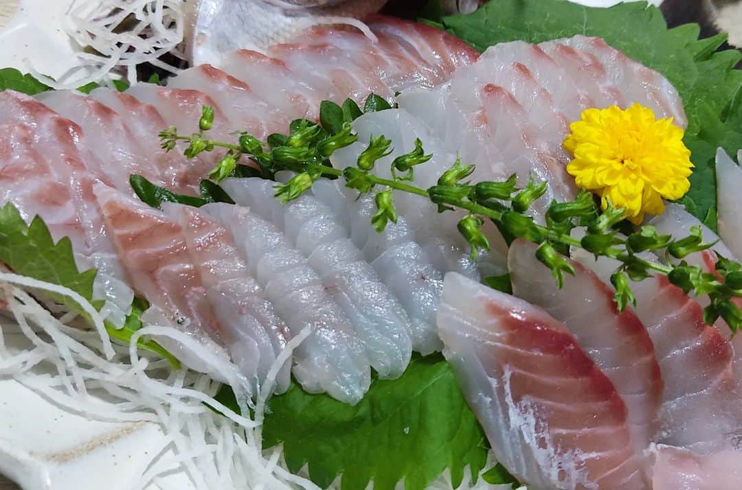のインスタグラム：「#刺し身」