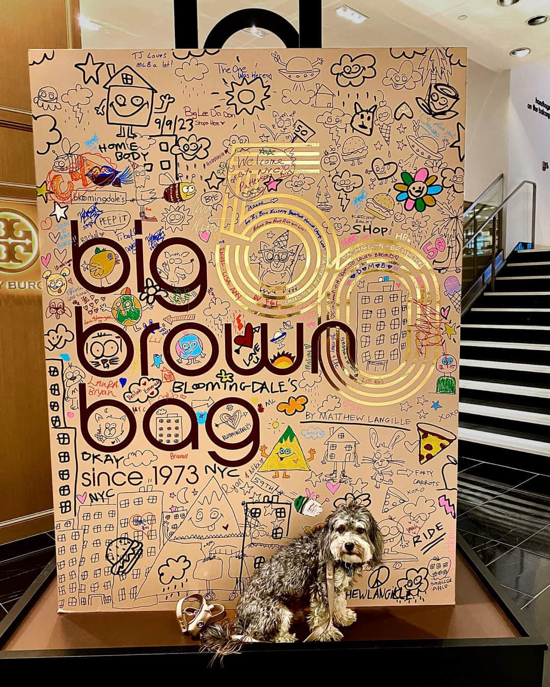 Bloomingdale'sさんのインスタグラム写真 - (Bloomingdale'sInstagram)「BIG love for the Big Brown Bag! From 59th Street to Florence, we had so much fun seeing your shopping bags out in the wild this season. Keep sharing the love by using #bloomingdales or @bloomingdales 🤎」10月23日 1時01分 - bloomingdales