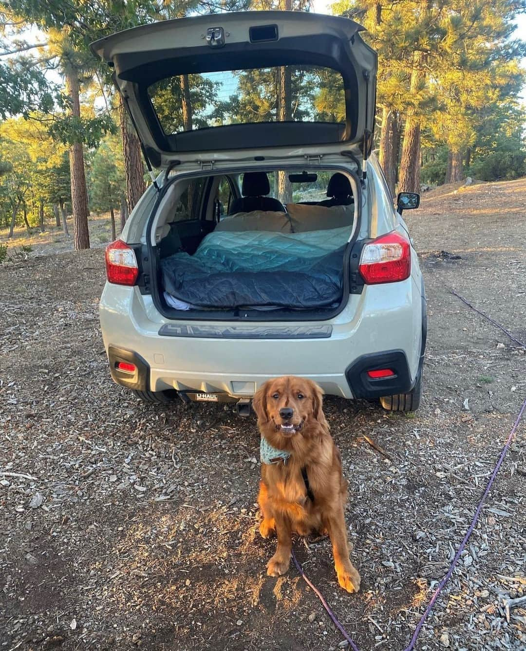 Subaru of Americaさんのインスタグラム写真 - (Subaru of AmericaInstagram)「Taking your #SubiePup on an adventure is the best way to spend National #MakeADogsDay. Check our stories for a chance to be featured 🧡.  #SubaruLovesPets  (📸: @hikemeetsbike)」10月23日 1時25分 - subaru_usa