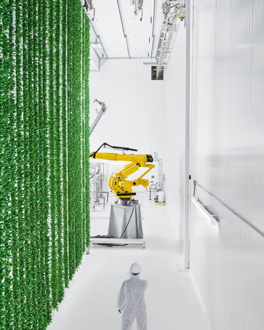 ナショナルジオグラフィックのインスタグラム：「Photo by @spencerlowell_ | At Plenty's indoor vertical farm in Compton, California, cutting-edge technology revolutionizes traditional farming. The system uses hydroponics and advanced robotics to cultivate crops in controlled environments for optimal growth. This method reduces water usage, maximizes yield, and challenges our understanding of agriculture's potential—giving us a window into the next chapter of food production.」