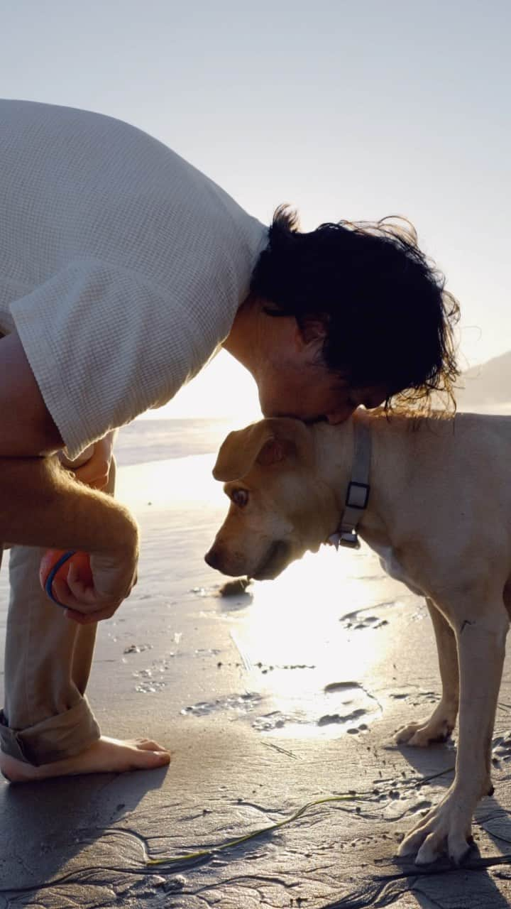 イアン・サマーホルダーのインスタグラム：「Been moving at lightning speed while traveling the world and stepping foot on multiple continents every week. There hasn’t been even a single second to stop and watch the sunset. Sometimes just stopping amidst the hustle of life and running a business, to appreciate the beauty around you, gives you the energy to keep pushing forward. Right?」