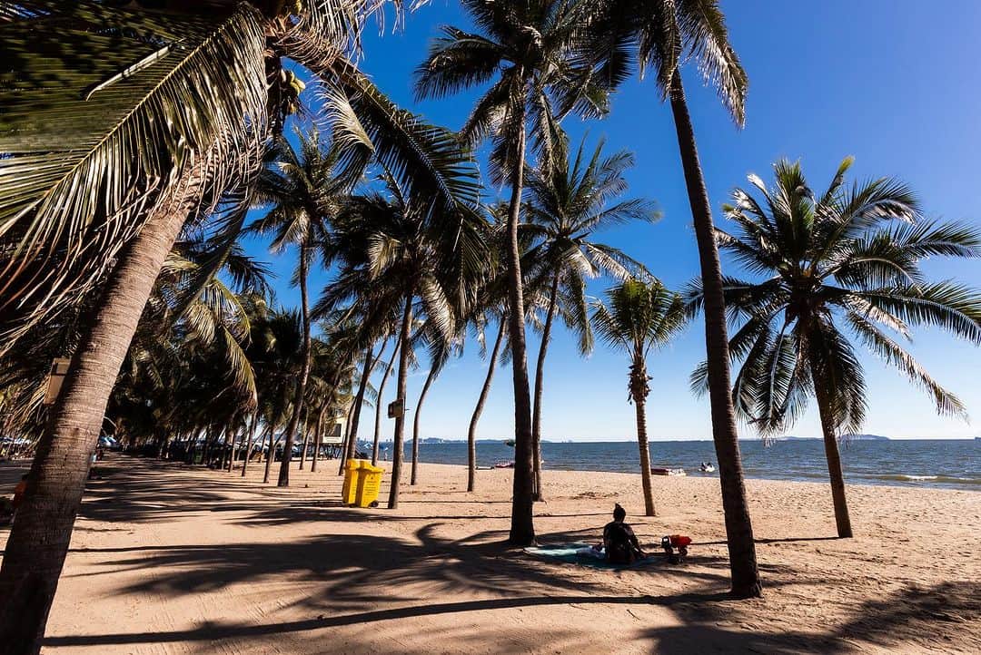 タイ国政府観光庁さんのインスタグラム写真 - (タイ国政府観光庁Instagram)「. チョンブリーの「バンセーン・ビーチ」からおはようございます☀️ᐝ  タイのベストシーズン(11〜4月)は、もう目前❣️  そこで旅先のひとつにおすすめしたいのが、バンセーン・ビーチです💁‍♀️  タイ湾に面する東部エリア・チョンブリー県にあり、ビーチの全長は約4.5km🏖　週末になれば、観光客だけでなく地元の人々もやってきて、浜辺でシーフードやソムタムを食べながらのんびりしていたり、ローカルな雰囲気満載です🌴💚  ビーチ沿いにはデッキチェアが多く過ごしやすいことに加え、レンタサイクルでビーチ散策を楽しむことも🚲 もちろん遊泳やウォーターアクティビティをする人の姿も多く見られます🤿💕  チョンブリー市内からは約14km、バンコク市内からも、エカマイバスターミナルからチョンブリー行きのバスで約1.5時間と、バンコク旅行にプラスしやすいビーチです🚌  今日も素敵な1日をお過ごしください💐  ★参考になった！と思ったら、あとで見返せるように、 画像右下にある保存ボタン🔖をタップ！  #タイ #チョンブリー #バンコク #バンセーンビーチ #タイビーチ #タイリゾート #今こそタイへ #こんなタイ知らなかった #もっと知りタイ #はじめてのタイ #タイ旅行 #チョンブリー旅行 #バンコク旅行 #旅好きな人と繋がりたい #旅行好きな人と繋がりたい #海外旅行 #thailand #chonburi #chonburitrip #bangkokrip #bangkok #bangsaenbeach #thaibeach #instabeach #amazingthailand #thailandtravel #thailandtrip #thaistagram #lovethailand #amazingnewchapters」10月23日 7時58分 - amazingthailandjp