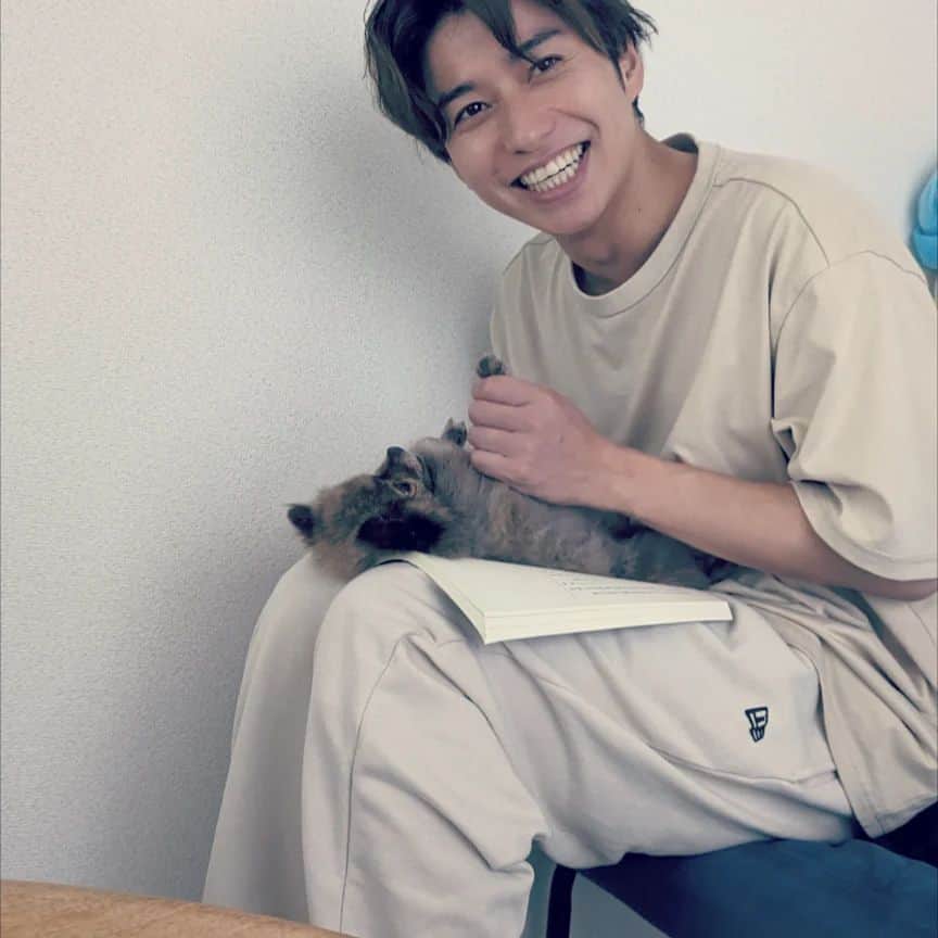 のインスタグラム：「台本読んでたら きびが乗っかってきて、コロンとお腹みせてくれて… 「だめだよきび〜」 とか言ってたくせに秒で機嫌良くなるタケダ。 #dogoftheday  #newera #きびとの日常」