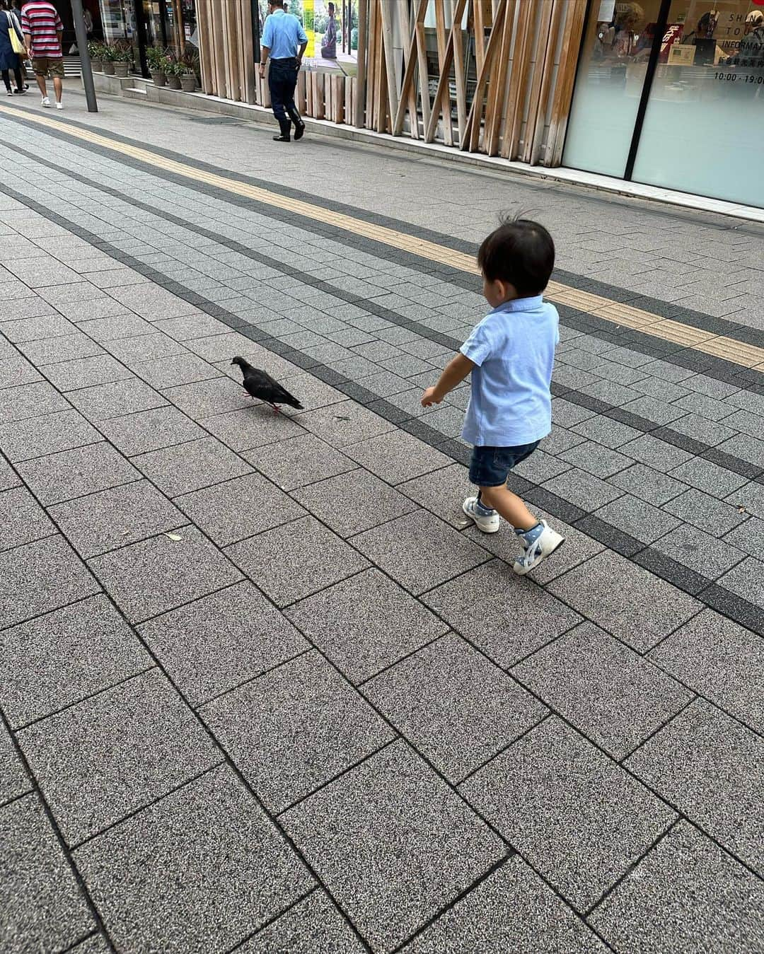 井上英里香さんのインスタグラム写真 - (井上英里香Instagram)「* 都内のデパート前でピーポ君発見💡 * * #ピーポくん #警視庁 #交通安全 #男の子育児 #2歳0歳  #ダブル抱っこいつまでできるかな  #私の二の腕はたくましくなるばかりw #ハトを見ると追いかけずにはいられない」10月23日 4時27分 - ribbonhome.erika