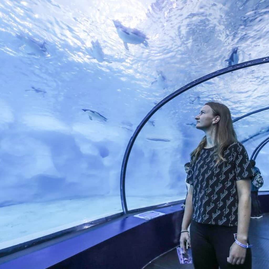 WTA（女子テニス協会）のインスタグラム：「Time for some vitamin sea 🌊   @bkrejcikova explores the Zhuhai Chimelong Ocean Park!  #WTAEliteTrophy」