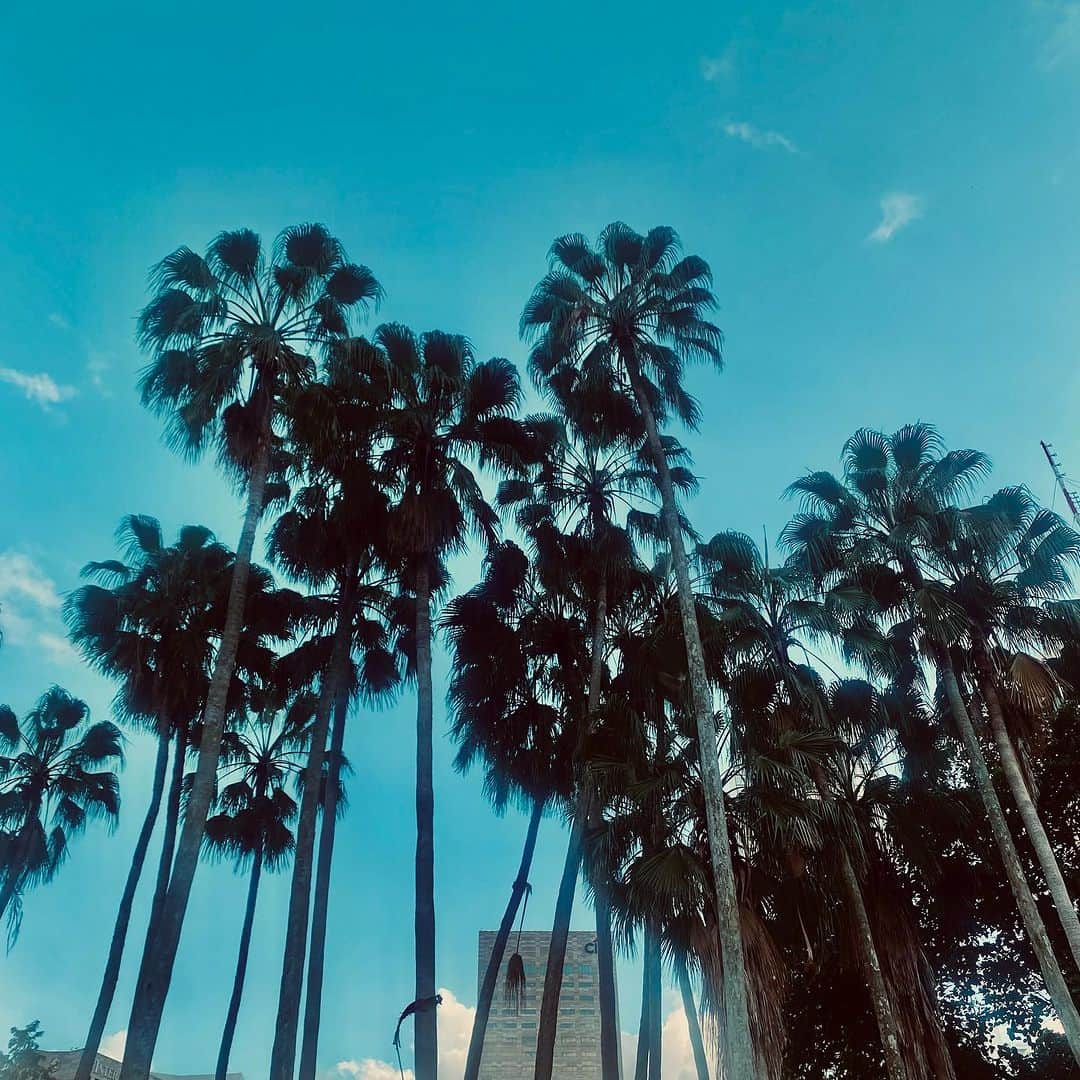 Mayela Vazquezさんのインスタグラム写真 - (Mayela VazquezInstagram)「Miami lately ✨🌕🌊」10月23日 5時13分 - mayelavazquezbeauty