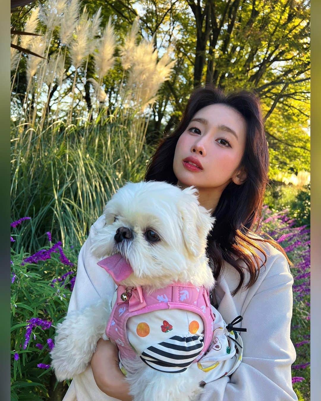 相原美咲のインスタグラム：「ももとお散歩🚶‍♀️🐕🚶‍♀️🌾🌛」