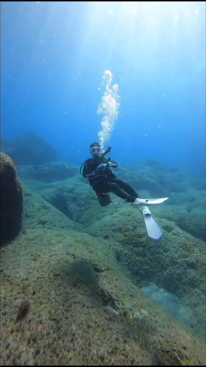 三宿菜々のインスタグラム：「八丈島で会えたレアなお魚たち♡ 八丈島といえばユウゼン！！！らしい。レアな割に地味な見た目。  カラフルで可愛いナメモンガラ！！！こんなに美しいのに食用にもなっていてお刺身、煮物、焼き、とどんな料理方法でも美味しいらしい。全然食べたくない。  最後のは美栄が私を撮っていたら現れた。なんだっけ？  八丈島は海の色も深くゴツゴツと男っぽくてカッコいい。 #深海魚 #ナズマド #ナズマドダイビング #八丈島ダイビング  #ダイビング #ダイビング女子 #divinglife #divingtime #divinggirl  #divingisfun #divingdeep #scubadive」