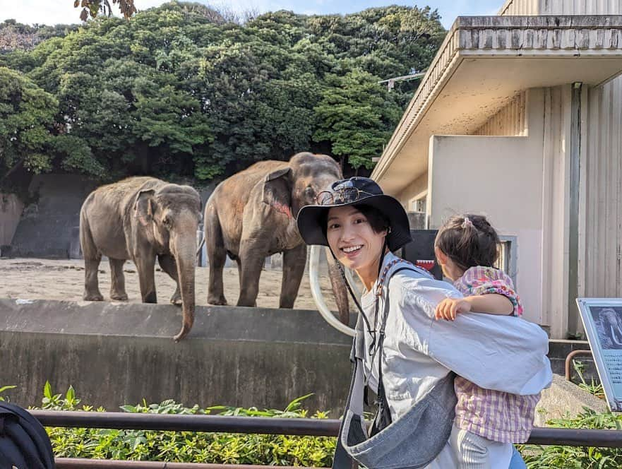 平田薫のインスタグラム：「春の思い出も、夏の思い出も 上げたいの沢山あったのに日々怒涛の勢いで過ぎ去るから更新が追いつかない！ そして、娘ちゃんのお顔隠すのにスタンプ押したいなとか考えてると、その作業が後回し後回しでなかなかあげれない笑  写真撮る時に、娘ちゃーん！カメラ向いてー！！なんて言っても全然向いてくれない事多いけれど、顔隠す必要がなくてそのまま出せるので楽だなと気づいたり笑 そしてカメラを見るより象を全力で楽しむ娘ちゃん、大正解。 最近、ぱおーん！ぞうさん！を結構口にしていたのでリアルぱおーん！を会わせてあげられてよかった！  金沢動物園のぞうさんは日本最大だそう！本当に大きくて牙も長ーくて迫力ありました！  2枚目はいつかの静波サーフビレッジ再び。 (１回目のやつ載せたかも曖昧な😂) 私はお母さん感ある安心水着で、楽天でランキング1位だったやつ笑 黒の短パン水着は、いつでも水遊びできるし普段から履きまくりました😂  今までの怪しい日焼けガードもじもじくんスタイルは卒業してます。笑 ママ友達と遊んだりしても怪しくない、娘ちゃんママの格好やばいね！！って言われない、でも日除けはできるスタイルを模索した夏。 でも半ば諦めて私も娘もがんがん日にも焼けする夏でした☀️ 私は日焼け止め、サングラス、帽子はちゃんとして 日焼け止めはちゃんと塗るけど手足は軽く諦め、足の甲か日焼けで真っ黒でした。笑 そんな夏もまぁ悪くないよね健康的で🫶  #いつの日かの思い出達」