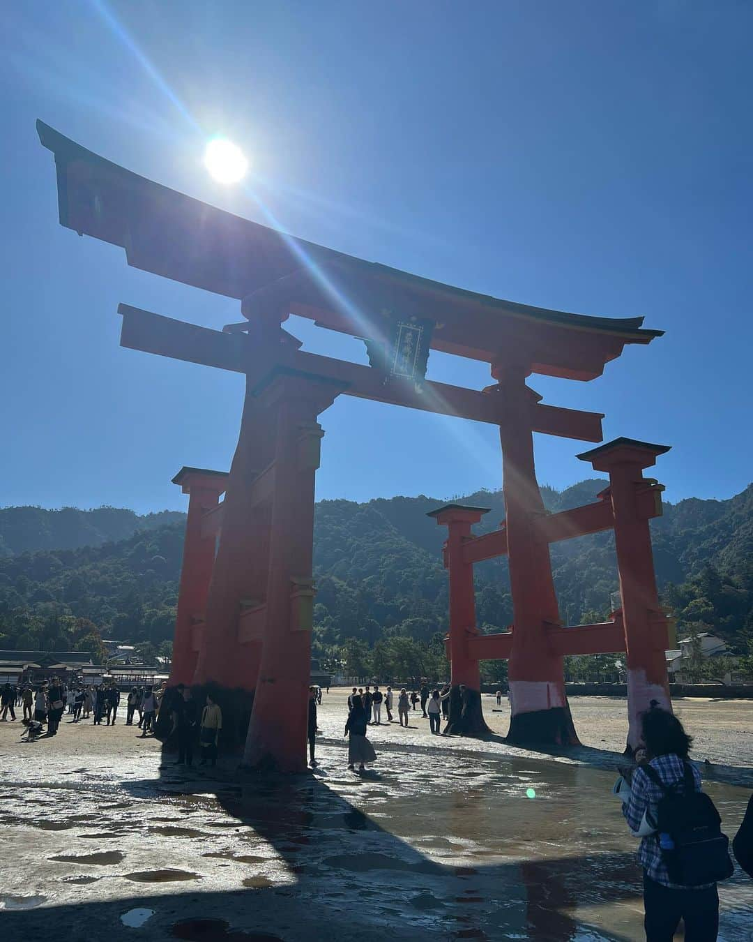 たけるのインスタグラム：「【最近の参拝歴】  厳島神社　広島　宮島 エグエグのエグです 根っからの鳥居大好きマンの私、鳥ラーからすると大興奮モノでした 中学入ったらお年玉の額が上がった時ぐらい大興奮でした 小1のときにペーパーマリオ買ってもらった時ぐらい大興奮でした 鳥居カッケェ 島自体を御神体としてるから鳥居がこんなところにあるんだって 平清盛が深く信仰されてたとか ユネスコ世界文化遺産にも登録されてる もちろん拝殿とかもすごいけど鳥居カッケェ 朱の大鳥居ってキャッチコピーらしい ちなみにM1のおれらのキャッチコピーは静ボケ、剛ツッコミ 俺のツッコミ剛ツッコミなの？ ジャイアンってこと？ いろんな角度の鳥居みてって 神社側と沖側で額束（かくつか）文字が書いてあるところの文字が違うんだって カッケェ マジカッケェ キムタクよりもカッケェぞ 朱の大鳥居じゃない 朱のキムタク鳥居だ 鳥居の股下覗きもしちゃったぞ 股下なっげえ 菜々緒ぐらい長い 朱の大鳥居じゃない 朱の菜々緒り居だ ちょっと今までで一番興奮モノでした これは是非一度いってみて これ埋まってないんだって 意味わかんネェぜ そんなところもカッケェ 渋いぜ 奥田民生ぐらい渋いぜ 朱の大鳥居じゃない イジュのライダー居だ だあああああああああああああ！！！！！！  #東京ホテイソン #たける #グレープカンパニー #備中神楽 #神社 #神社巡り #パワースポット #御朱印 #厳島神社 #宮島 #平清盛 #鳥居カッケェ」