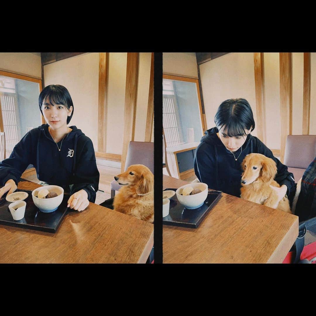 小貫莉奈のインスタグラム：「私のあんみつだよ🐕 ͗ ͗」