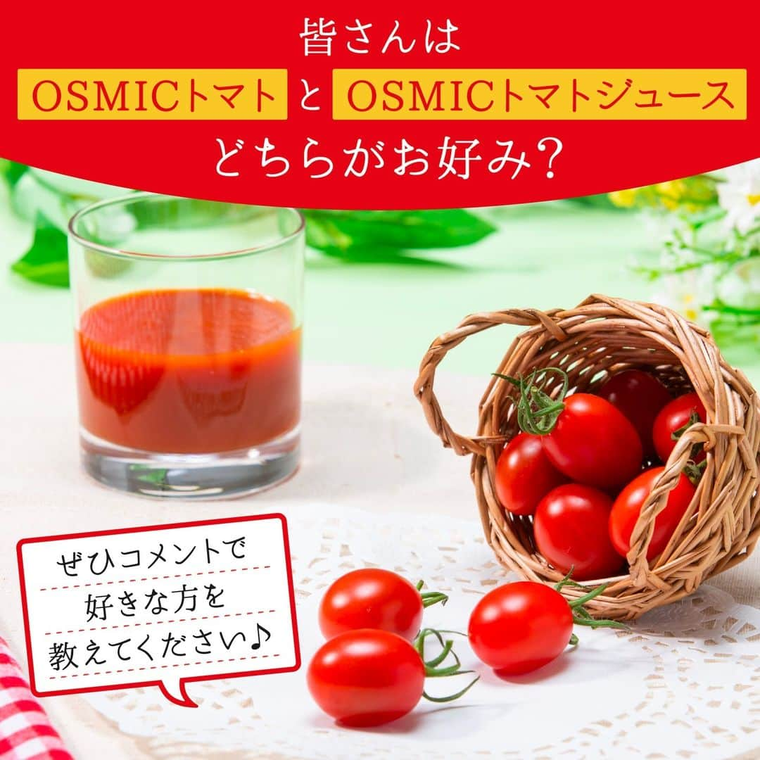 ＯＳＭＩＣ【オスミックトマト公式】のインスタグラム：「◀◁他の投稿も気になる方はプロフィールをチェック！  ＼気になる質問！😯／ 皆さんは、「OSMICトマト」と「OSMICトマトジュース」、どちらがお好みですか？  栽培環境から、食感、甘さ、品質まで、全てをこだわり抜いた高糖度の「OSMICトマト」🍅 そんな「OSMICトマト」の豊かな味わいと甘みが凝縮された至高の逸品、「OSMICトマトジュース」🌟  どちらもとびきり美味しいので悩ましい質問かもしれませんが…！ ぜひぜひコメントで、好きな方を教えてください😊♪ 皆さんのコメントをお待ちしています✨  －－－－－－－－－－ OSMICトマト( @osmic_jp )の公式アカウント🍅  甘くて美味しい商品情報・特長や、 OSMICトマトで作るからこそ美味しい絶品トマトレシピなど投稿中♪ －－－－－－－－－－  #osmic #オスミック #osmicトマト #オスミックトマト #osmicfirst #オスミックファースト #トマト #フルーツミニトマト #フルーツトマト #フルーツトマト🍅 #ミニトマト #高級トマト #トマト好き #トマト大好き #トマト生活 #トマトジュース #最高級トマトジュース #高級トマトジュース #高糖度フルーツミニトマト #銀座シックス」