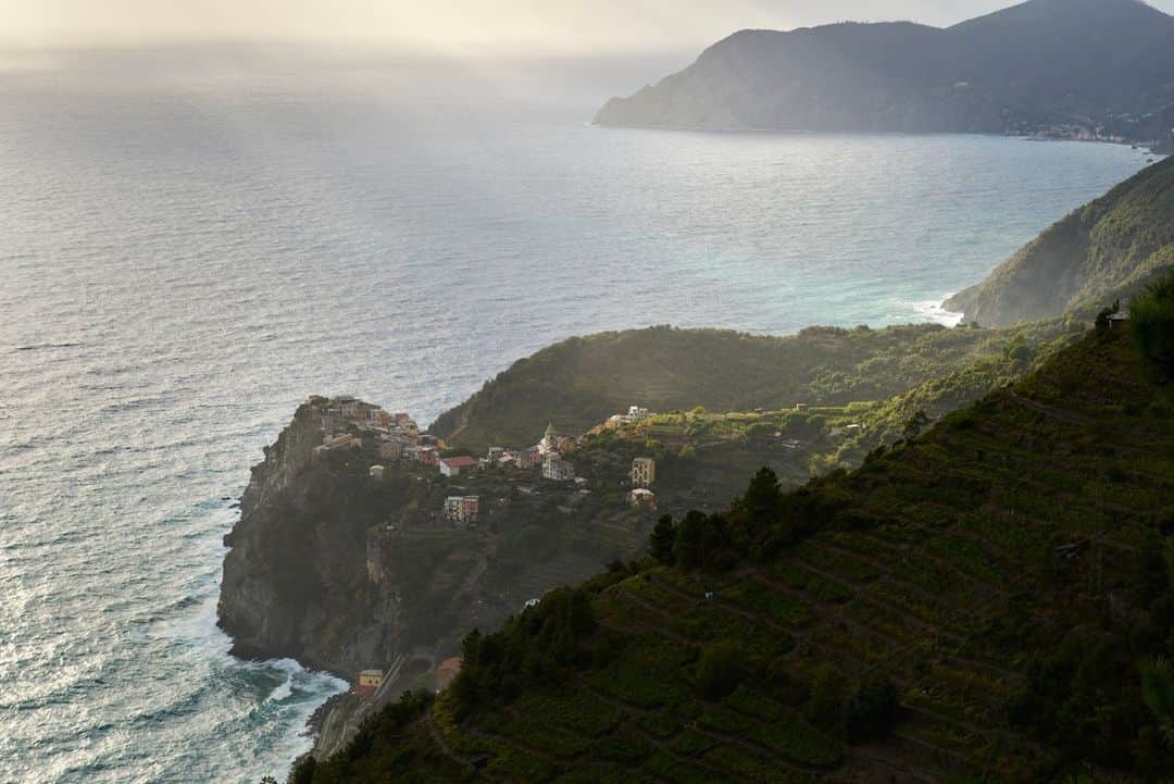 National Geographic Travelのインスタグラム：「Photo by @chiaragoia | In the village of Corniglia, vineyards perched on steep terraces overlook the sea.   This photo was taken while on assignment for a National Geographic story on Cinque Terre's heroic vineyards. Read more at the link in bio.」